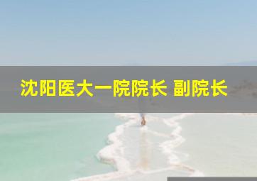 沈阳医大一院院长 副院长